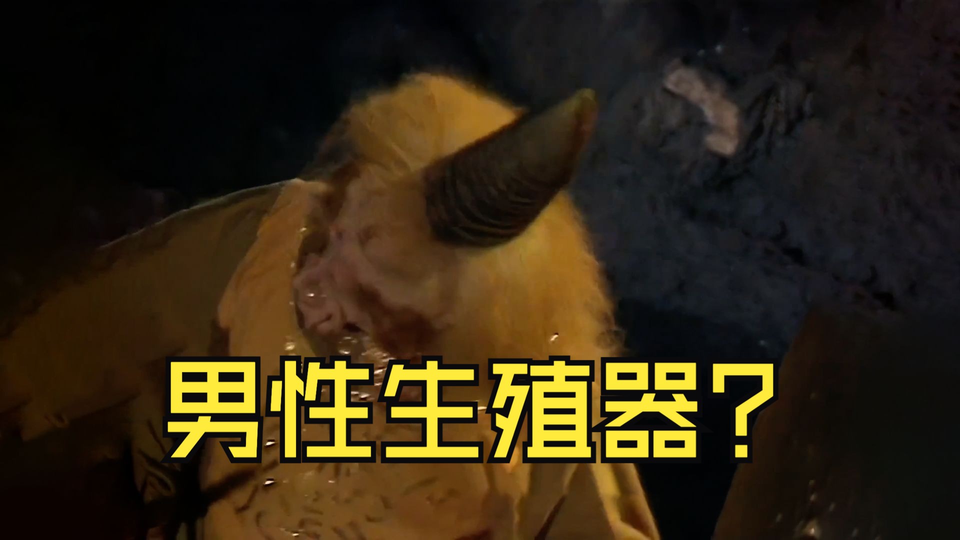 亢金龙的角是男性生殖器?《西游记》是小黄书?