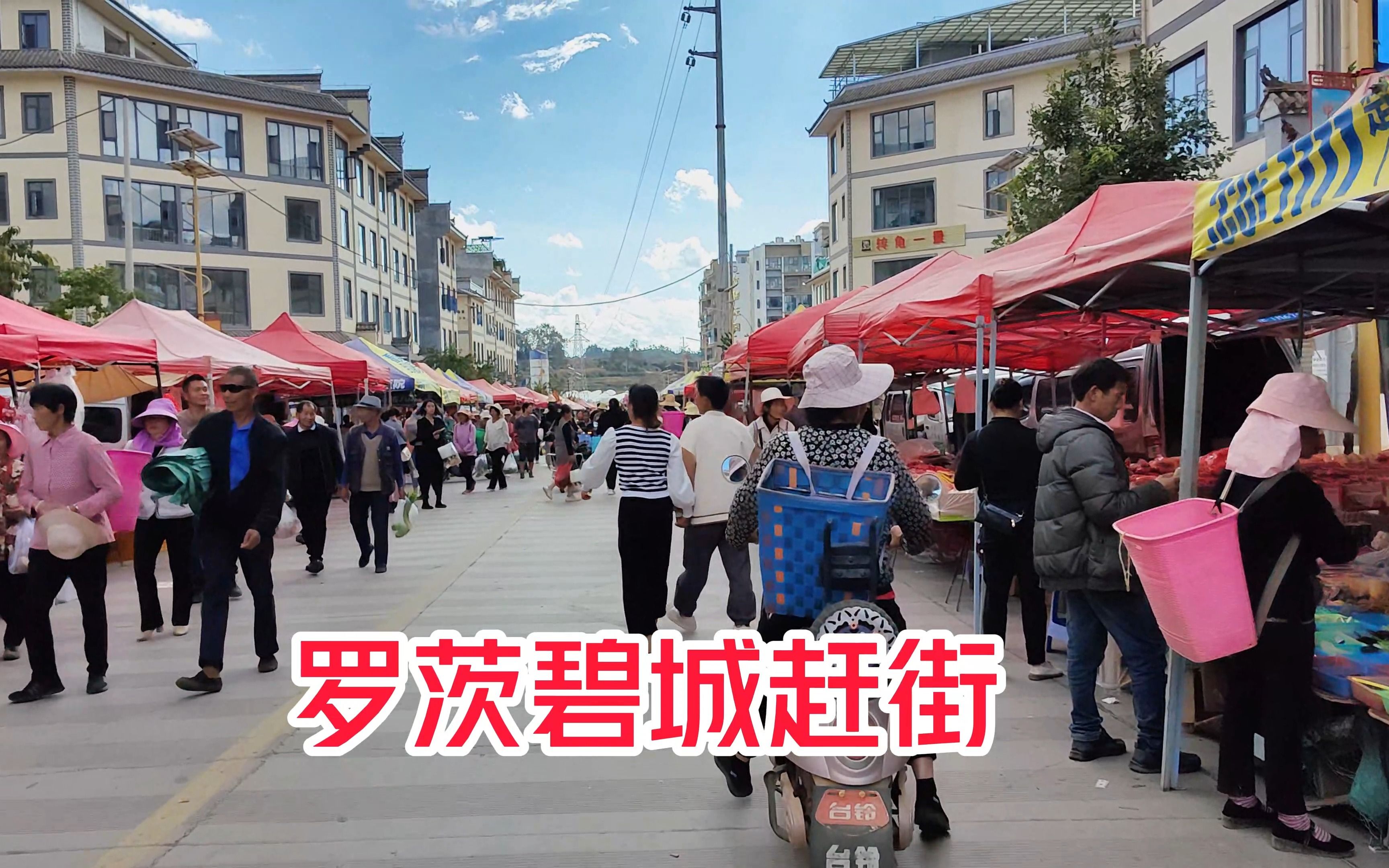 禄丰市罗茨碧城镇赶街(华为p60 art拍摄)