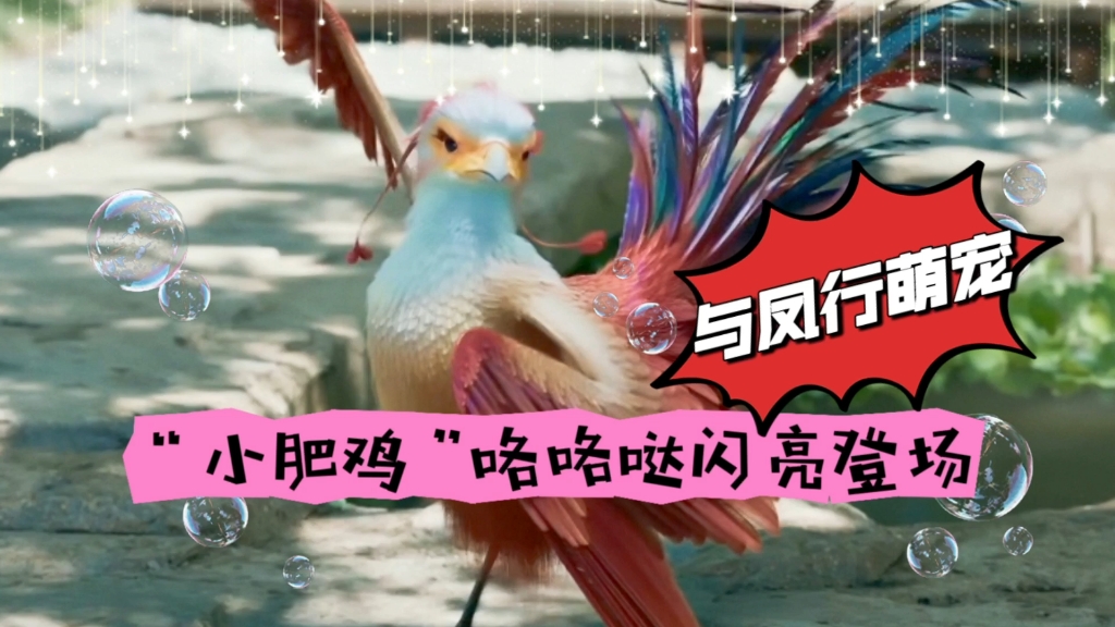 与凤行萌宠-咯咯哒闪亮登场