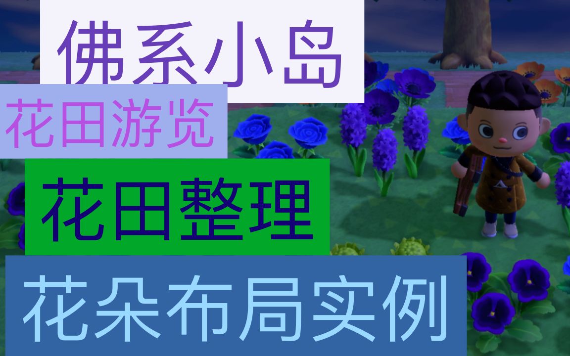 【迟墨桑/花朵杂交完全攻略】动物森友会 佛系小岛花田布局 整理花田全纪录 杂家花番外篇 总第十期哔哩哔哩bilibili