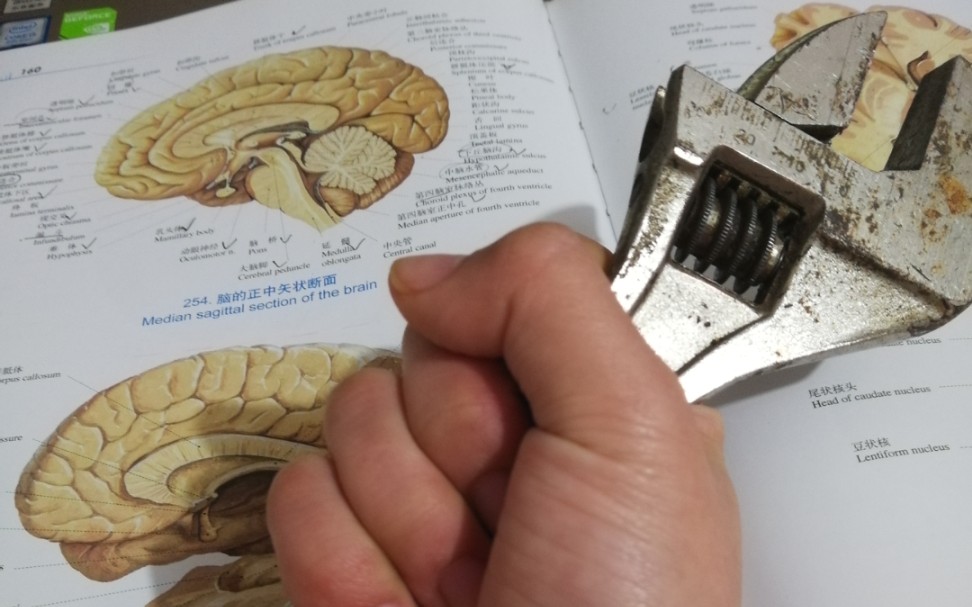 【医学生减压】——影像学把我学自闭了