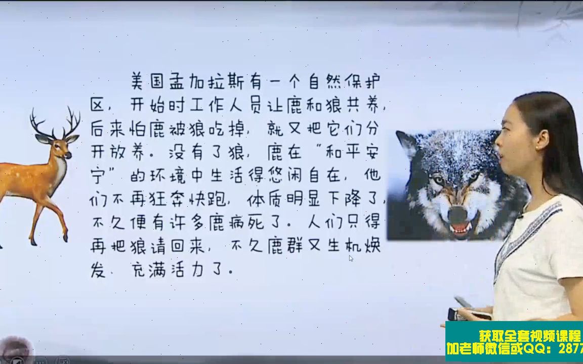 [图]初中语文《孟子》两章《生于忧患，死于安乐》《鱼我所欲也》