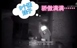 Download Video: 醉汉邀民警参观新生猪仔，民警：我还能说啥？只能说长得真好！