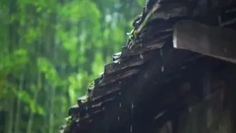 Descargar video: 《雨》朗诵视频 朗诵背景视频 朗诵背景音乐