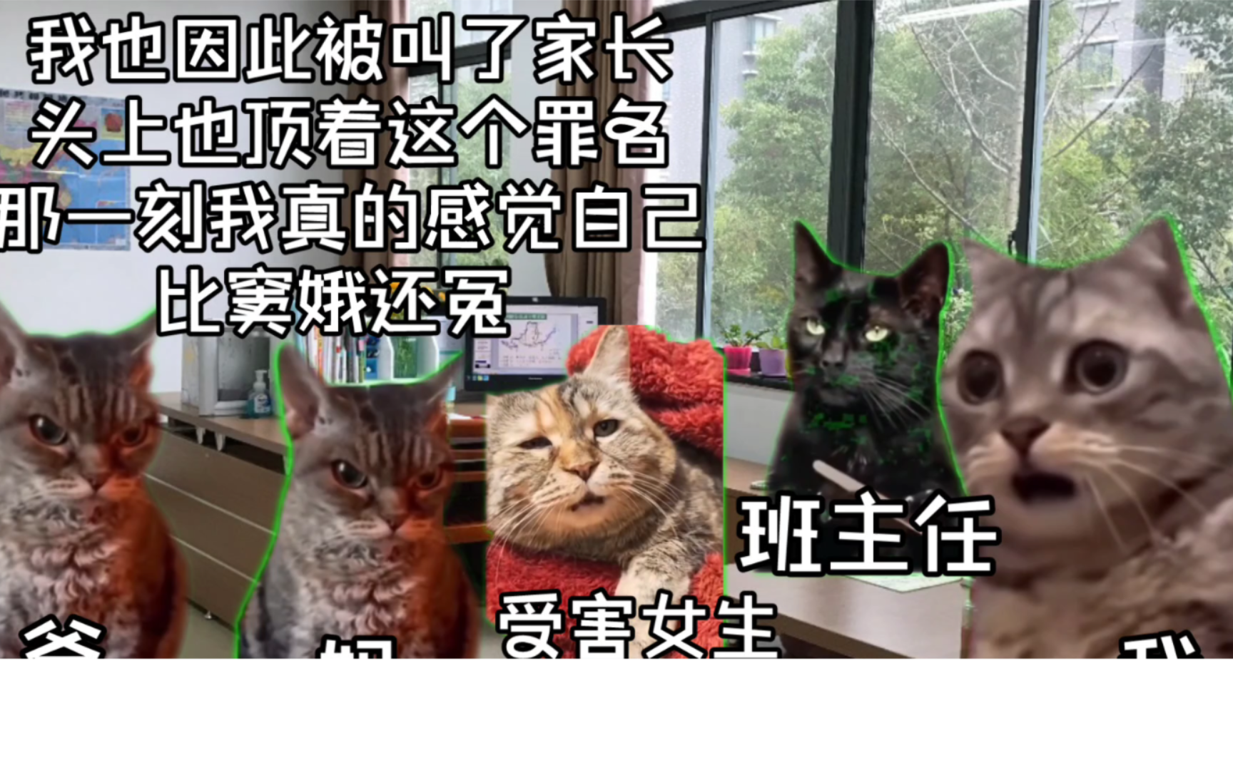 当我用猫猫的方式讲述自己的成长故事哔哩哔哩bilibili