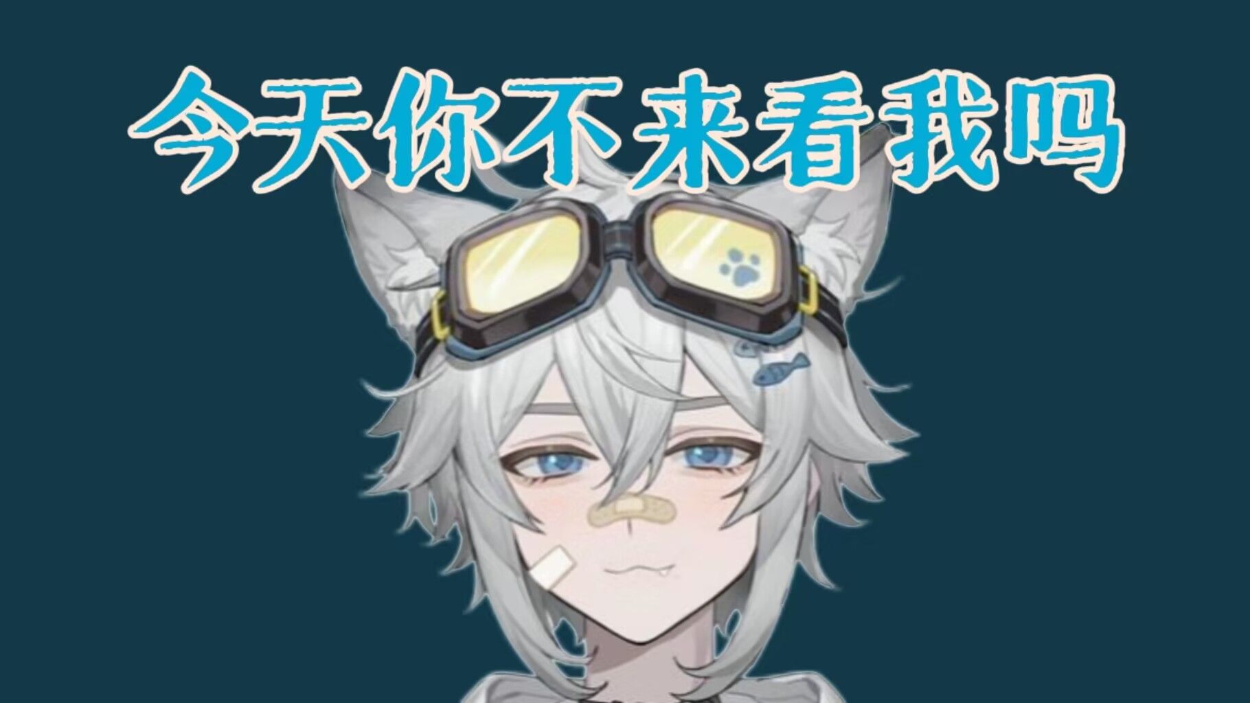 【咪咪Mimii】用直播姬开播的后果哔哩哔哩bilibili