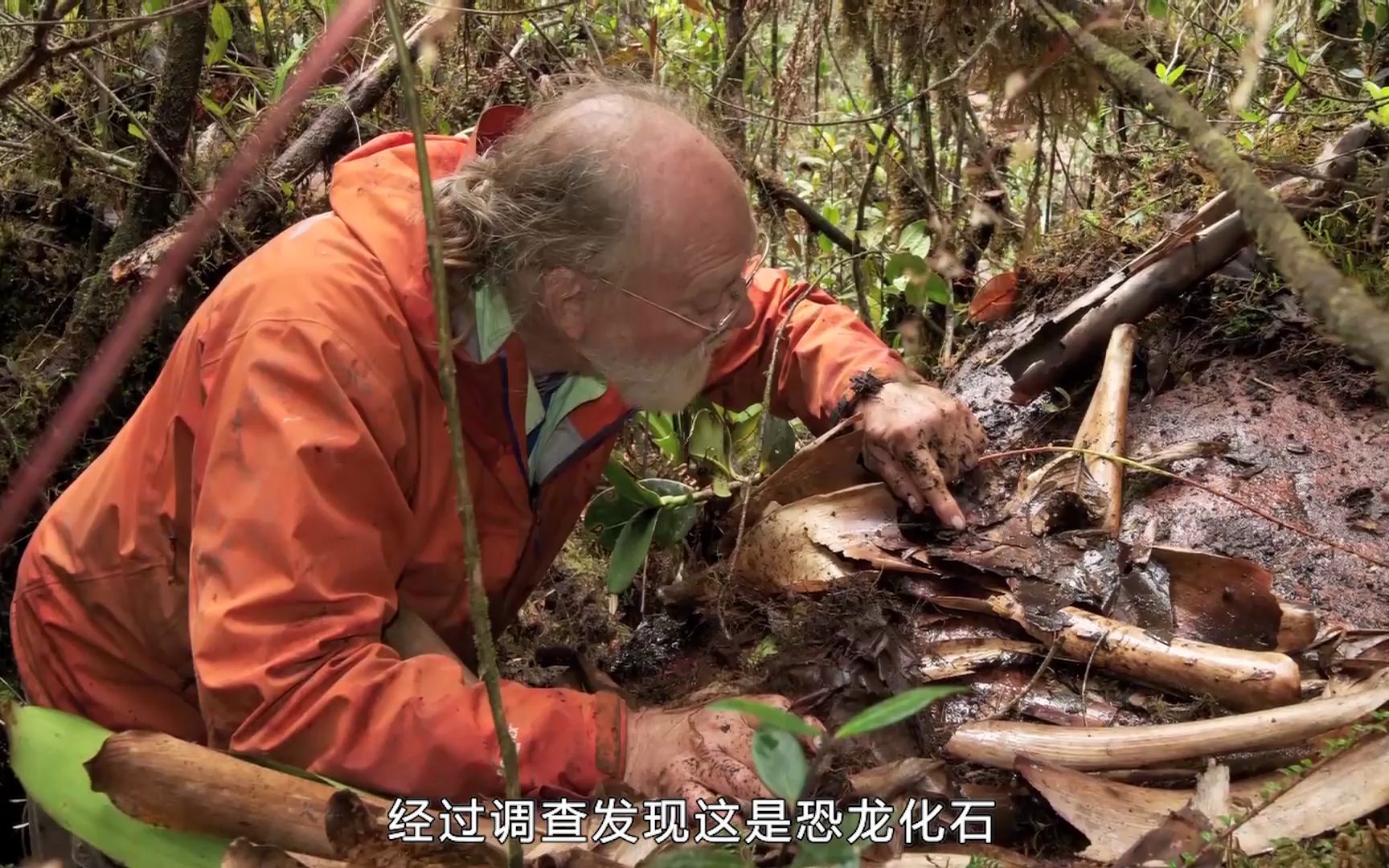 [图]大自然的神奇魔力，竟然能打造出如同神话中的仙山？