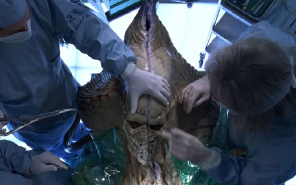 51区科学家解剖外星人打开胸腔发现它的大脑长在内脏里