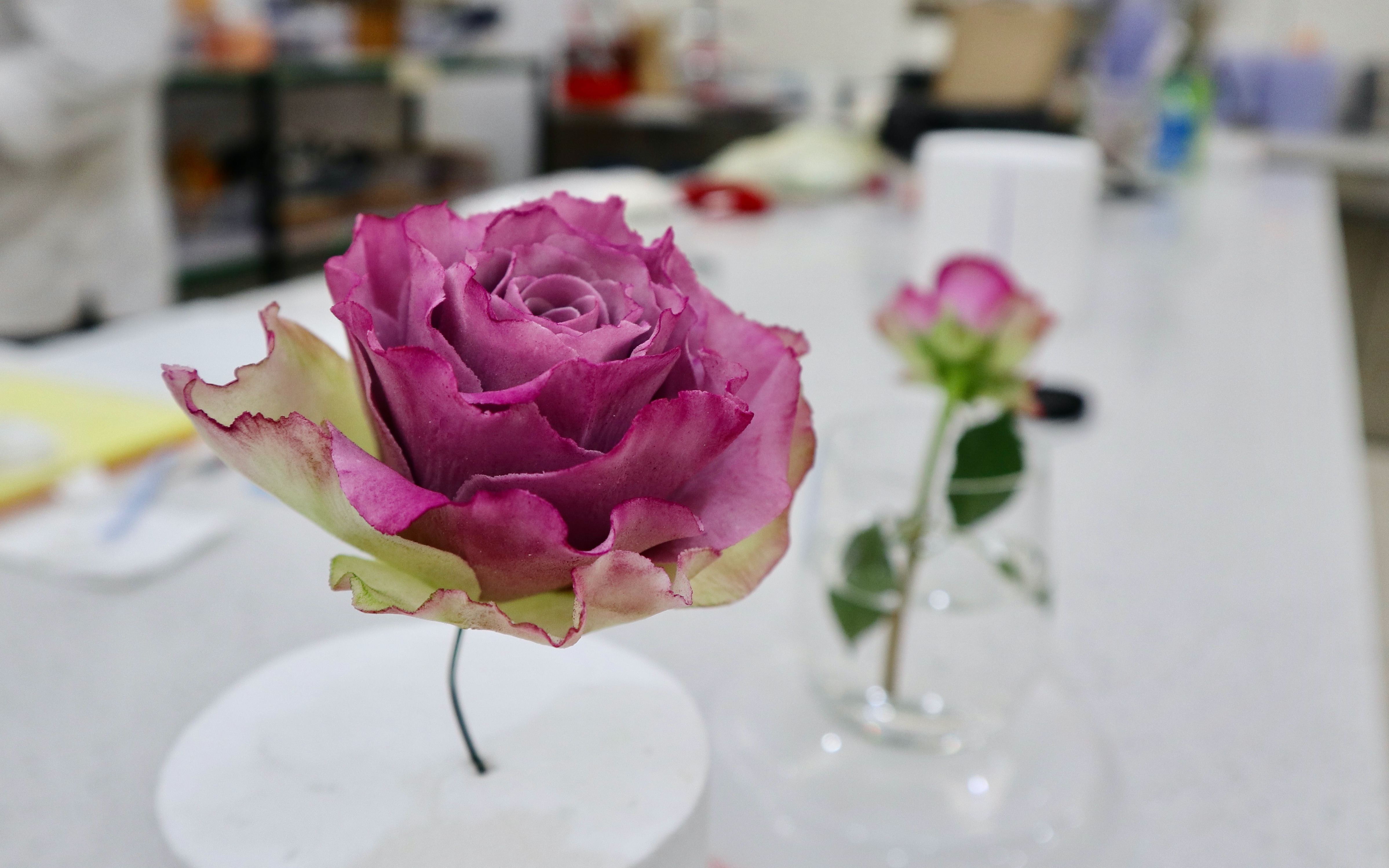 糖艺匠人e06#紫色翻糖玫瑰