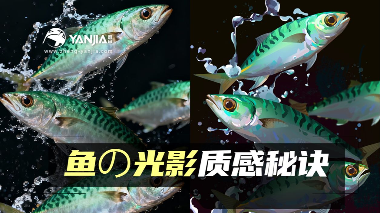 【色块速涂】鱼身质感绘制指南（新手向示范）
