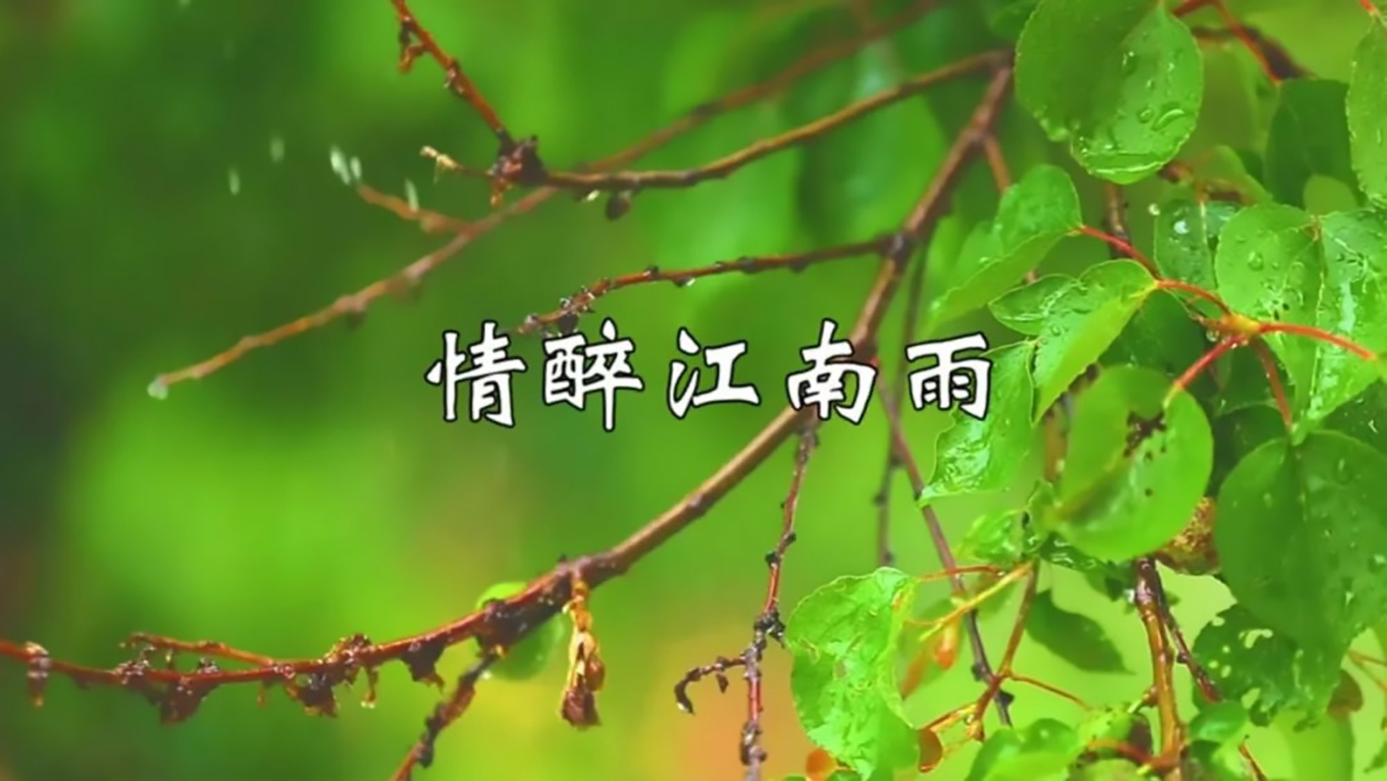 洞箫曲《情醉江南雨》,箫声婉转动听,令人沉醉