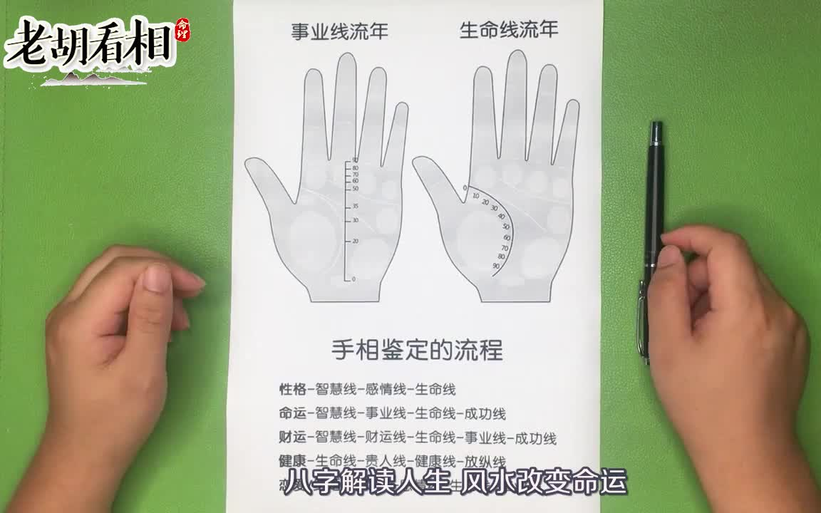 教你如何看手相手相怎么看?是何顺序,如何断手相流年?【老胡看相】哔哩哔哩bilibili