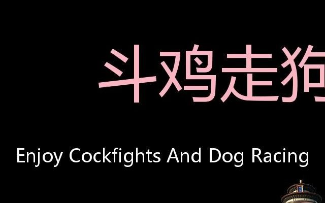 斗鸡走狗 Chinese Pronunciation enjoy cockfights and dog racing哔哩哔哩bilibili