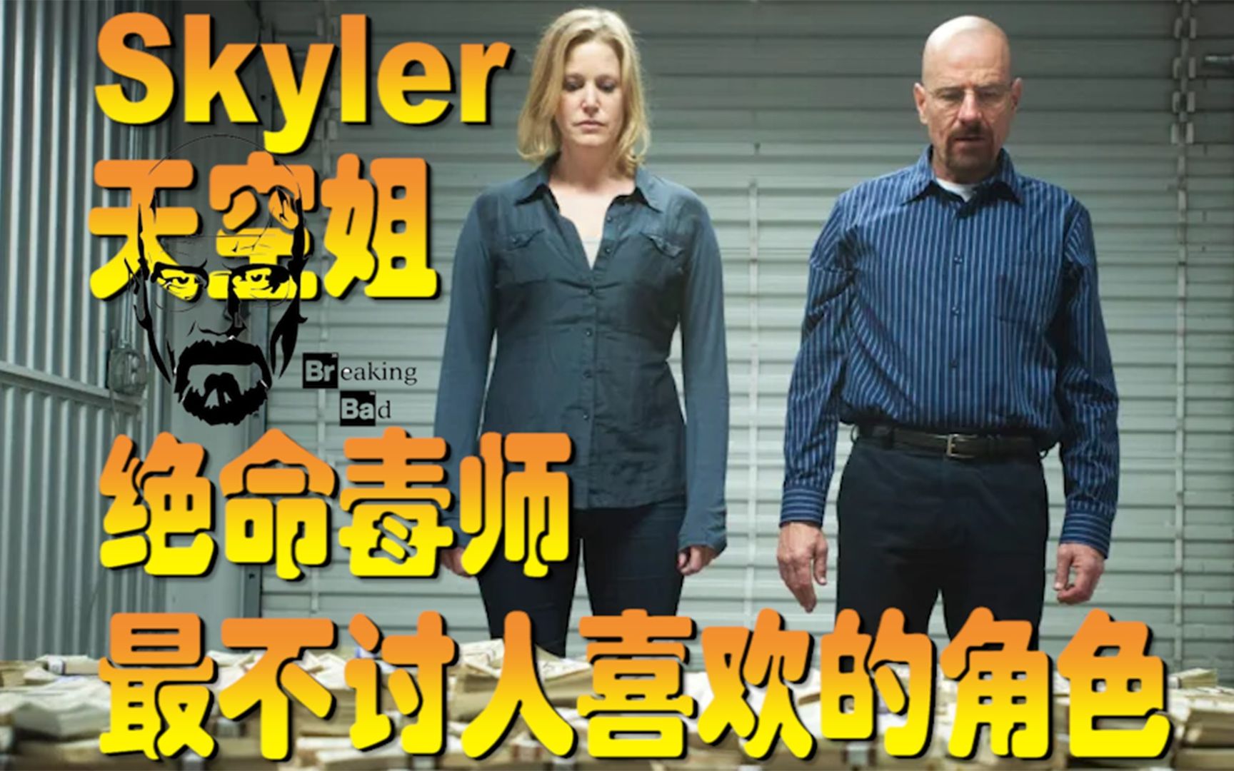 [图]Skyler 天空姐 绝命毒师 最不讨人喜欢的角色  Breaking Bad