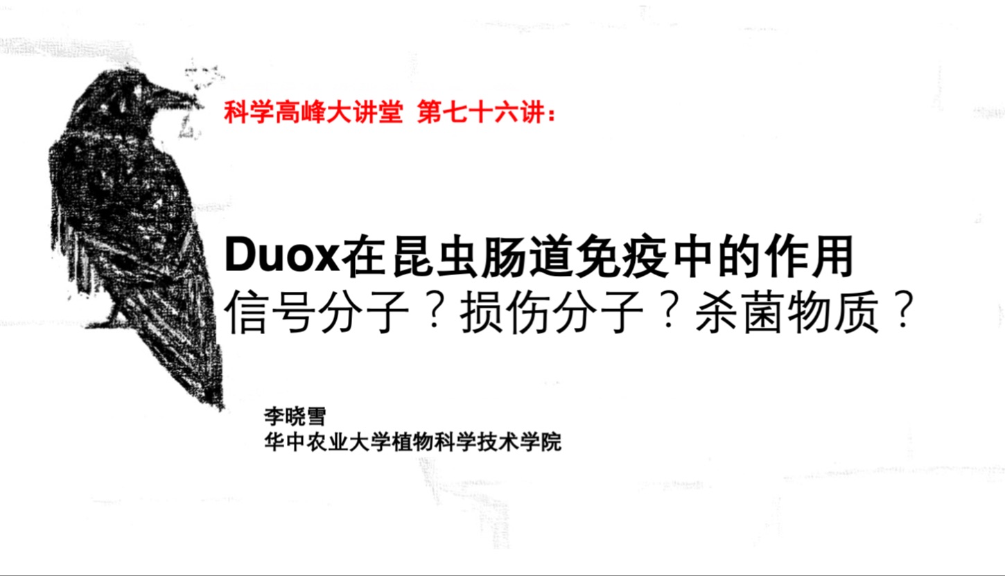 第七十六讲:Duox在昆虫肠道免疫中的作用哔哩哔哩bilibili