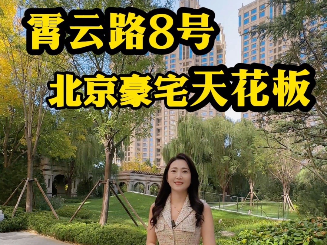 合生霄云路8号 “择人而处,择邻而居”.唯一一个在朝阳公园里建的城市豪宅#北京豪宅 #北京宸园 #御翠园 #大平层 #合生霄云路8号哔哩哔哩bilibili