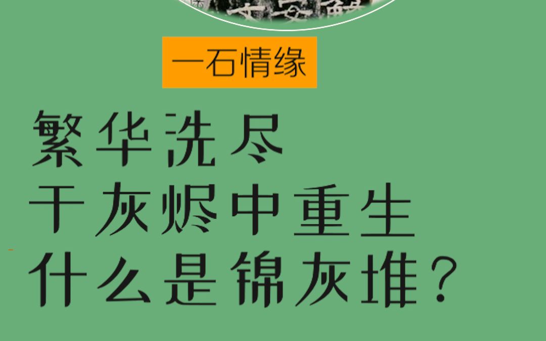 美丽不止一种形态.锦灰堆是什么?是一种红楼梦式的艺术. #和田玉 #锦灰堆 #艺术哔哩哔哩bilibili