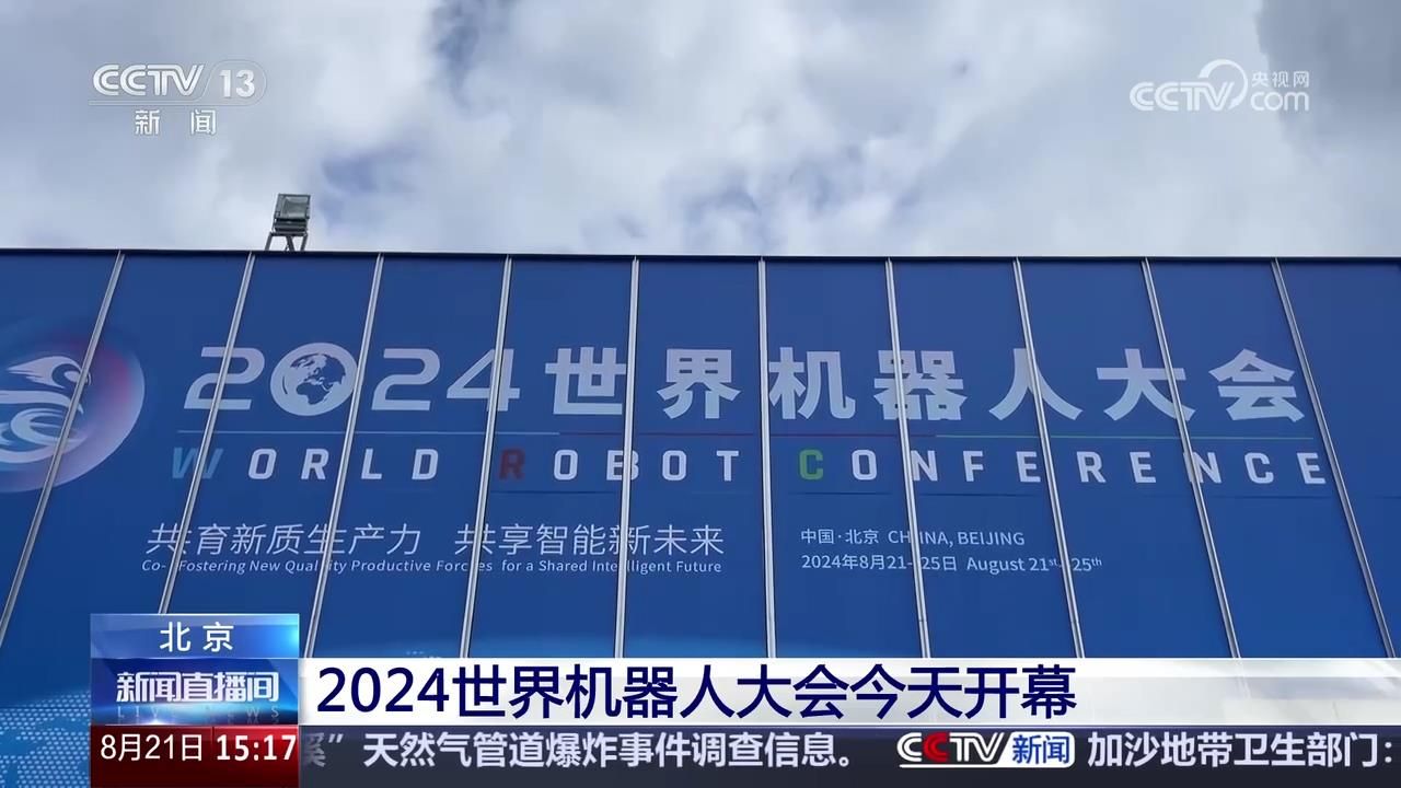 2024世界机器人大会 27款人形机器人集中亮相哔哩哔哩bilibili