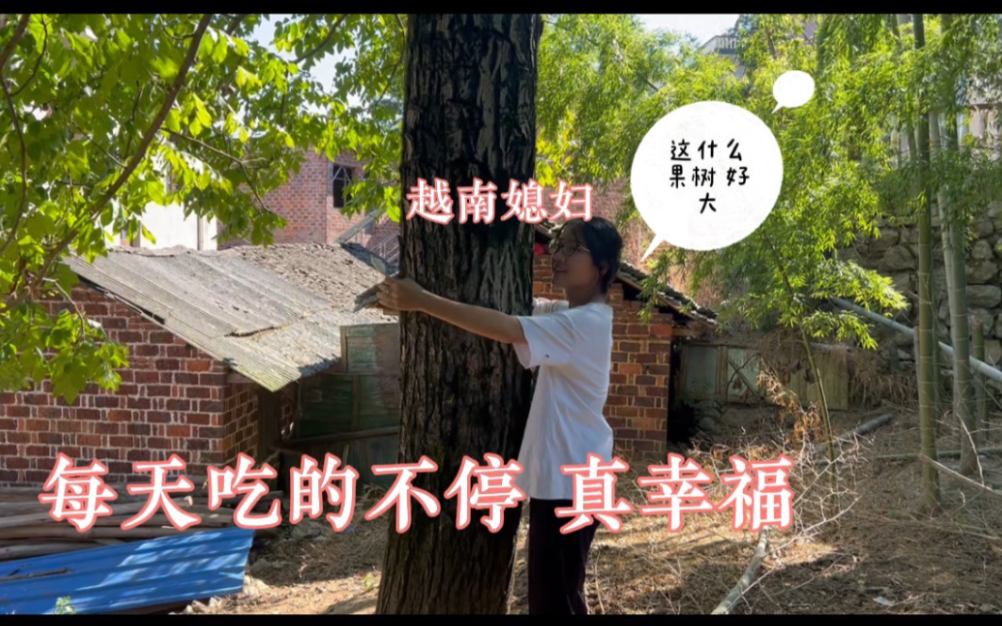 [图]越南媳妇远嫁中国湖南 一年四季都有水果吃真幸福 娘家也不想回了