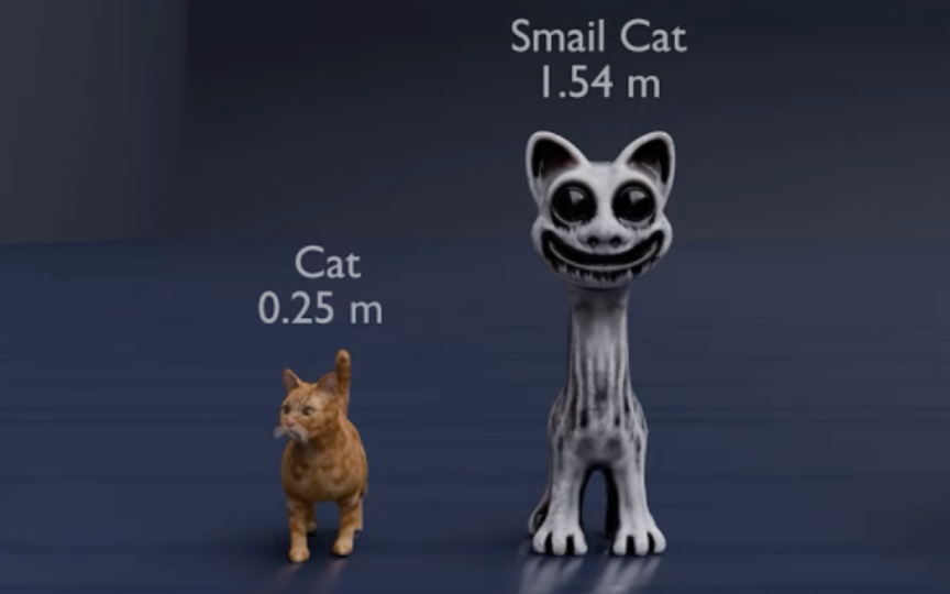 畸形动物园欢迎你31