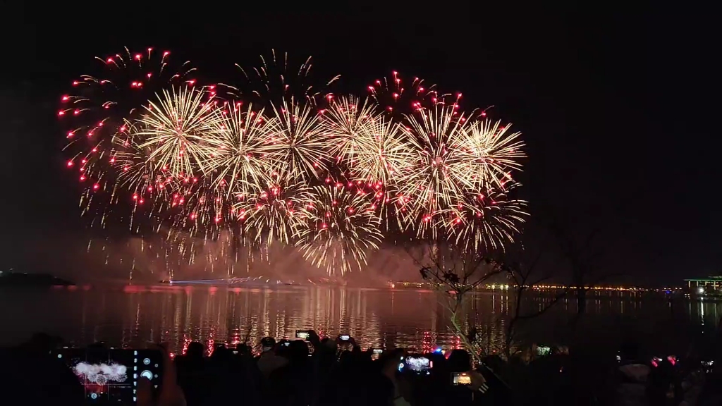 临港新年烟花秀图片