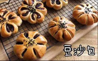 诚实豆沙包 搜索结果 哔哩哔哩 Bilibili