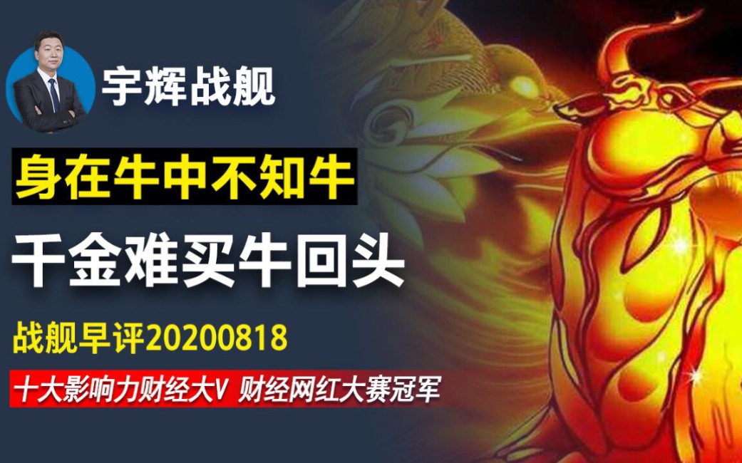 【宇辉战舰早评0818】身在牛中不知牛,千金难买牛回头_哔哩哔哩 (゜