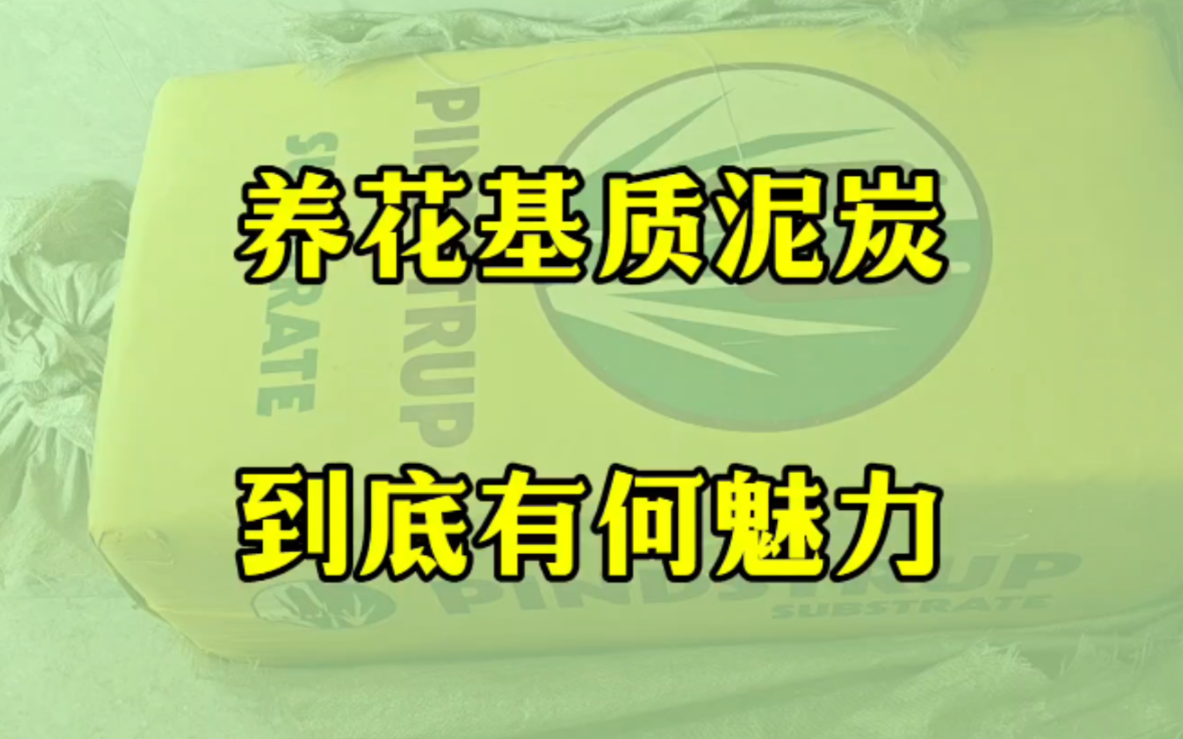 从零开始种月季10期:养花基质泥炭土超详细介绍哔哩哔哩bilibili