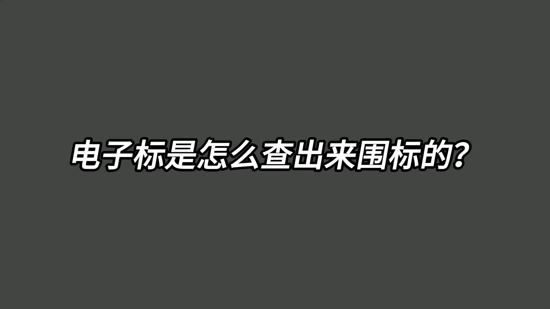 电子标怎么查围标串标?哔哩哔哩bilibili