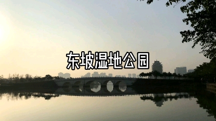 东坡湿地公园哔哩哔哩bilibili