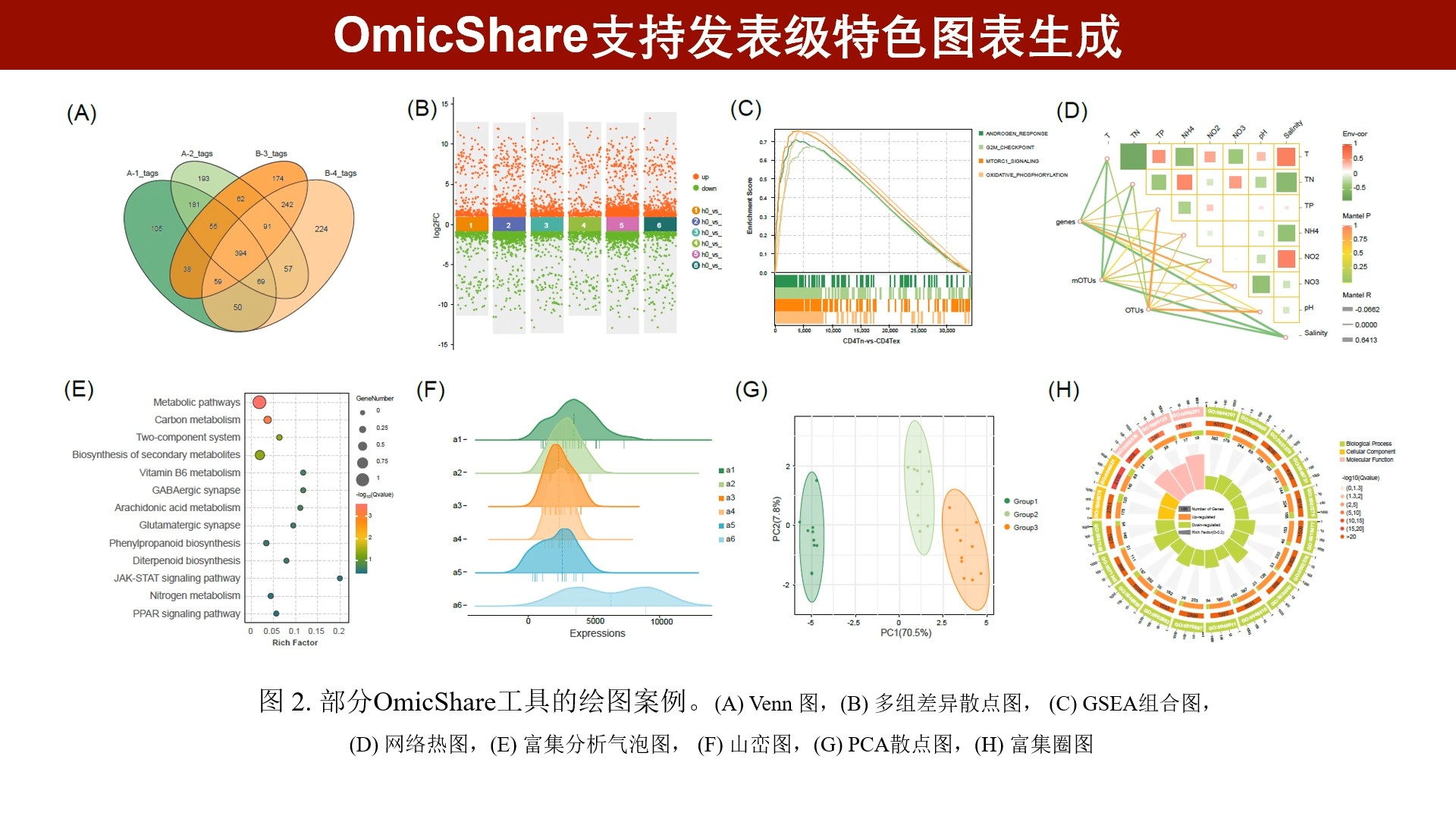 iMeta | OmicShare:交互式的在线生物数据分与可视化工具哔哩哔哩bilibili