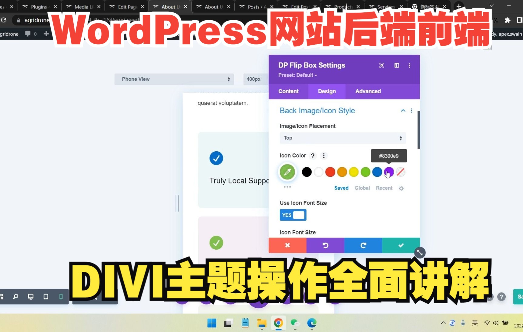 DIVI主题及页面编辑器入门教程 | WordPress建站揭秘哔哩哔哩bilibili