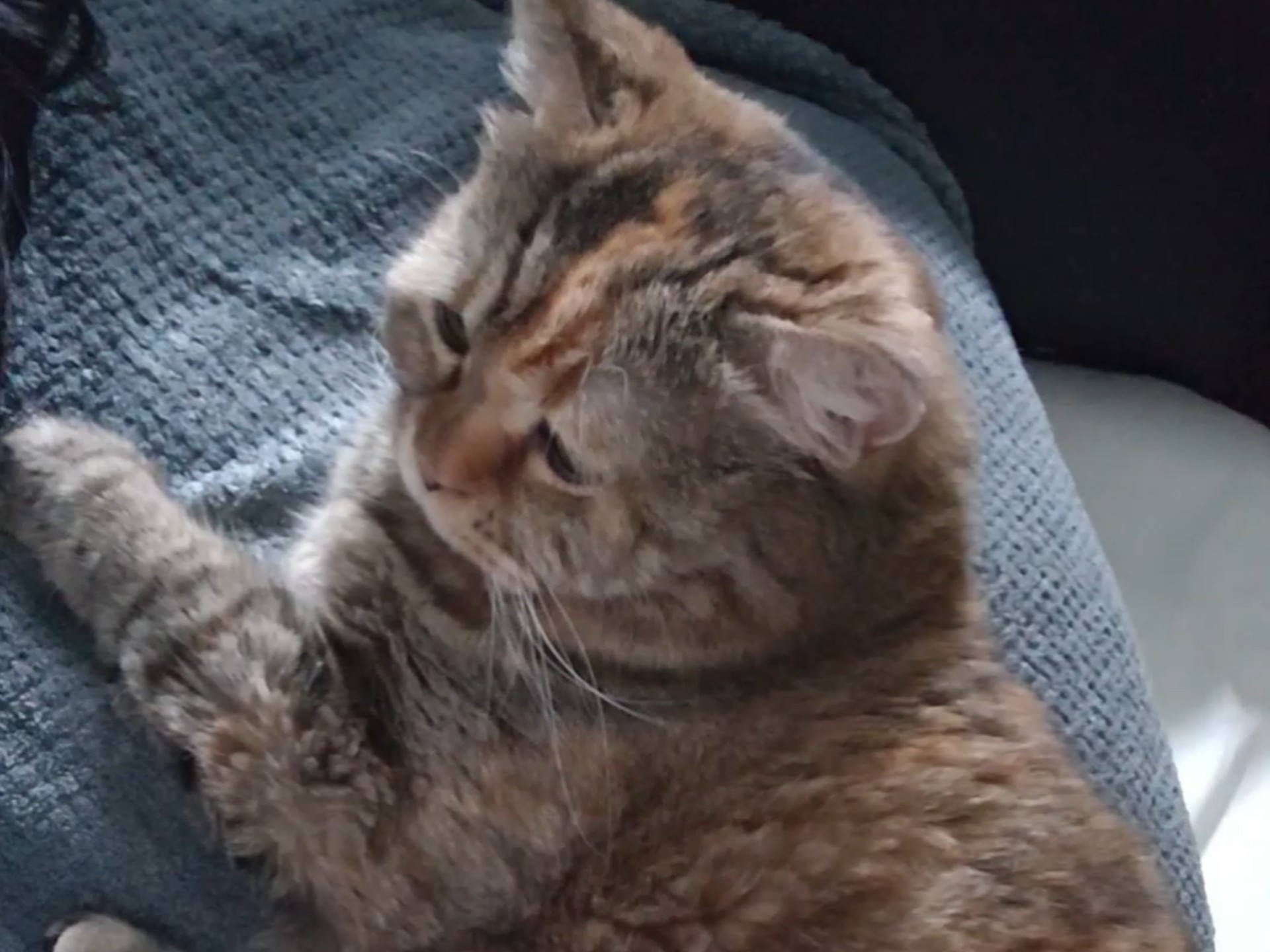 麻麻睡这么久，是不是再也起不来了