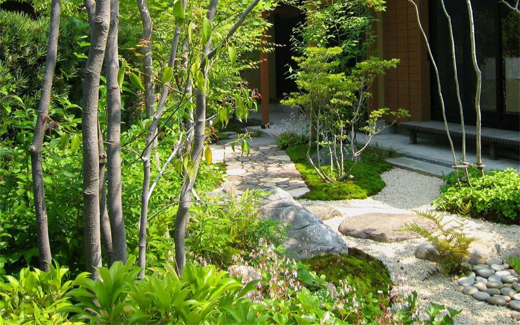 网红庭院如何打造?——杂木庭院解析