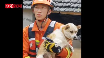 好暖！暴雨洪涝，消防员一把抱起被困瓦房中的狗狗