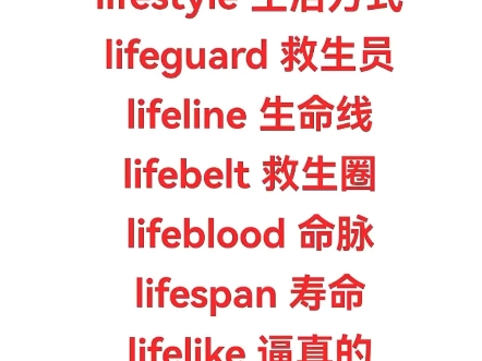 life哔哩哔哩bilibili