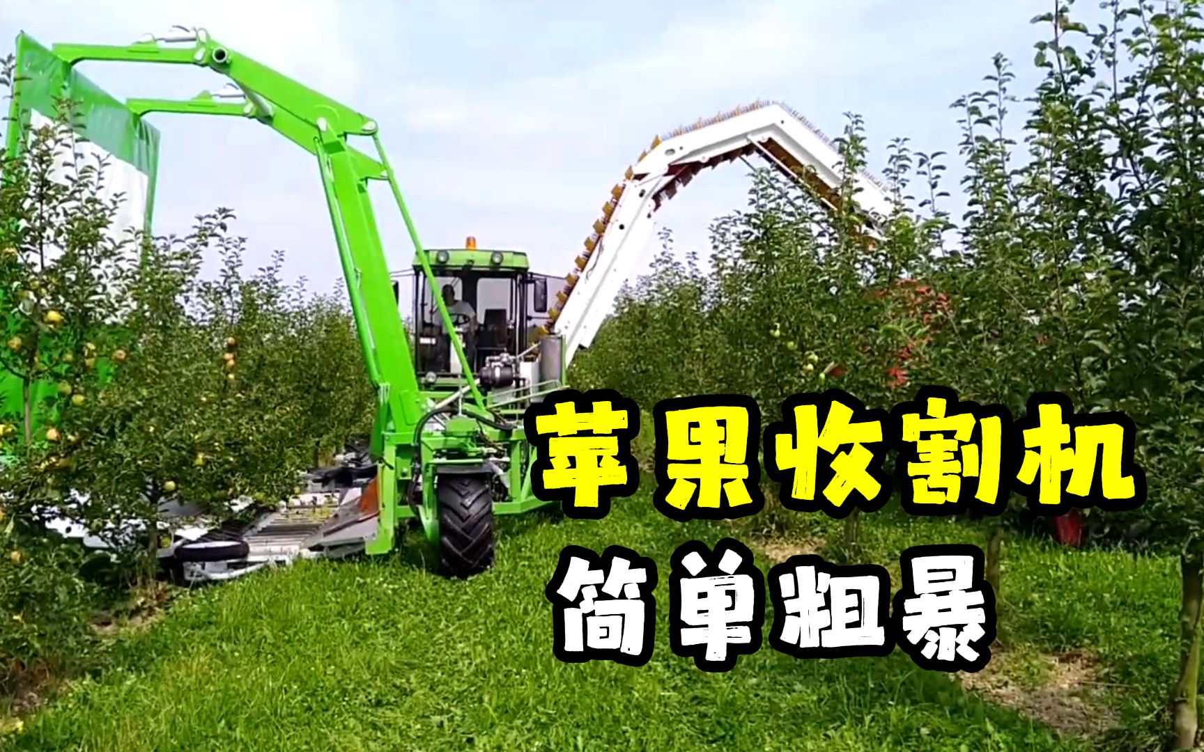 德国发明苹果收割机,方式虽然简单粗暴,效率却直线上升