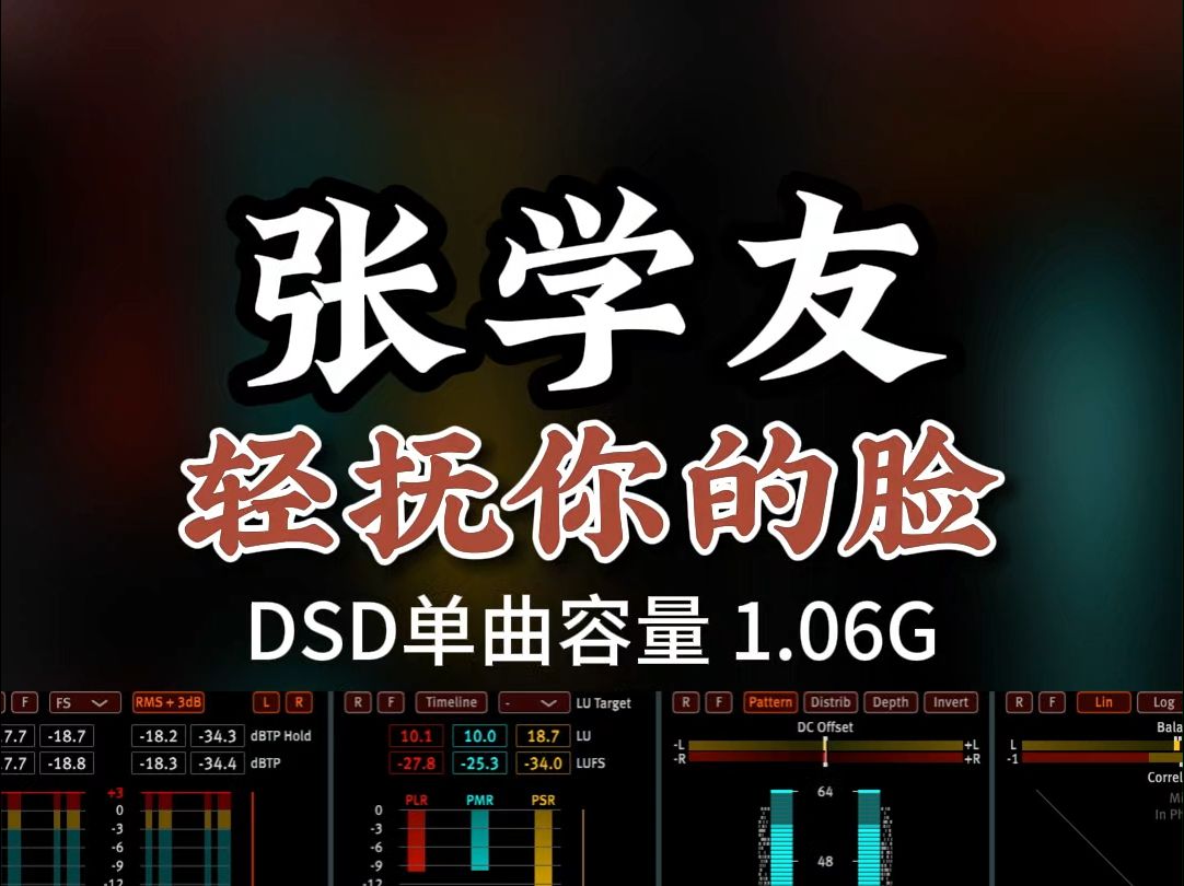 无限深情中渗透着点点凄凉,张学友《轻抚你的脸》,DSD完整版1.06G,百万调音师专业录音棚制作,顶级hifi无损音质哔哩哔哩bilibili