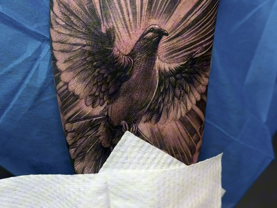 大臂内侧鸽子纹身