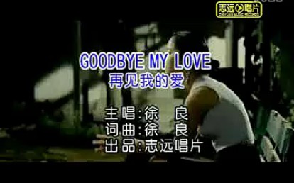 【MV】GOODBYE MY LOVE再见我的爱徐良(KTV版)哔哩哔哩bilibili