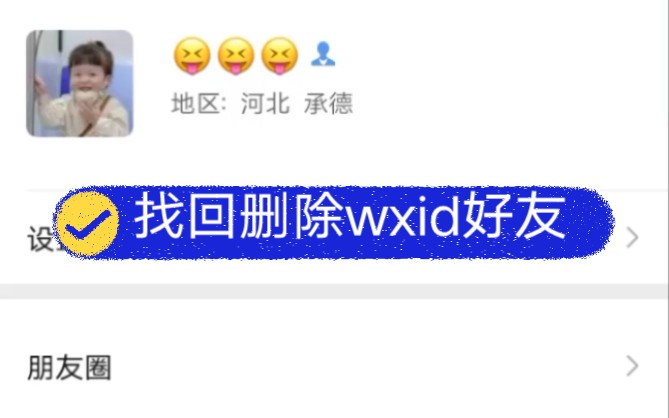 找回删除好友wxid开头添加好友隐私设置搜索不到的添加 #来教技能 #对方请求添加好友 #如何找回删除的微信好友哔哩哔哩bilibili