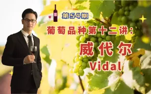 Download Video: 让加拿大葡萄酒享誉全球，威代尔酿造的冰酒堪称一绝，核心产区仅一个！