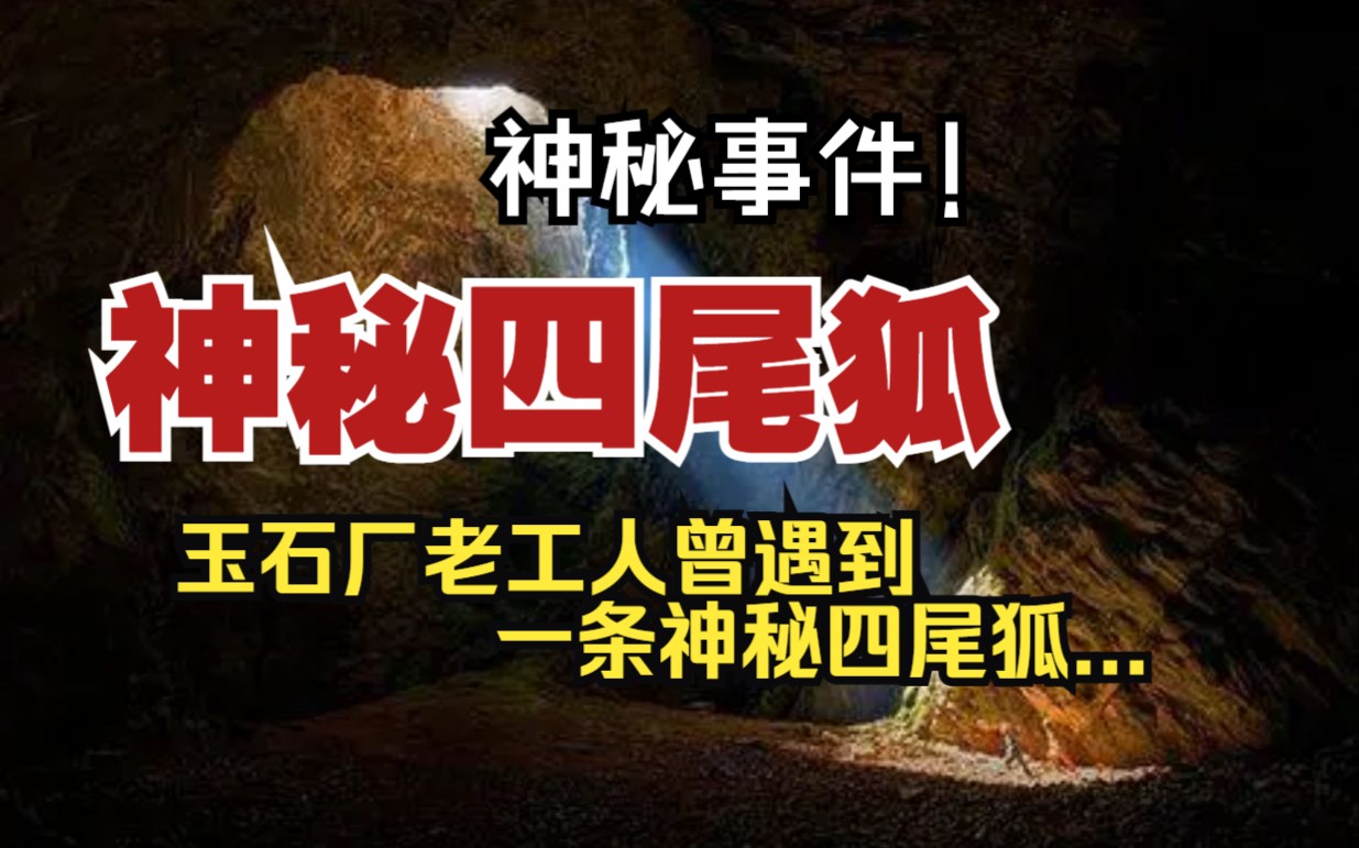 【神秘事件】神秘四尾狐:玉石厂老工人曾遇到的一条神秘四尾狐.