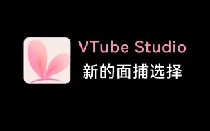 Video herunterladen: 【VTS面捕】普通摄像头也能拥有细腻面捕