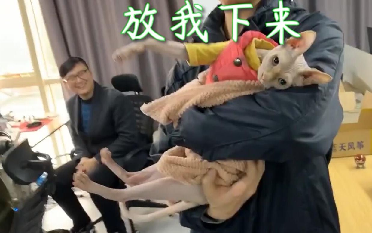 二饼,痒局长过来吃我一jio!