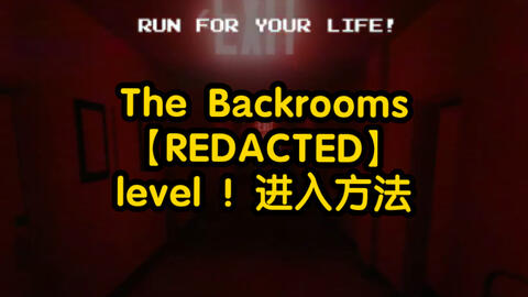 From level 0 to level 30 in backrooms [redacted]