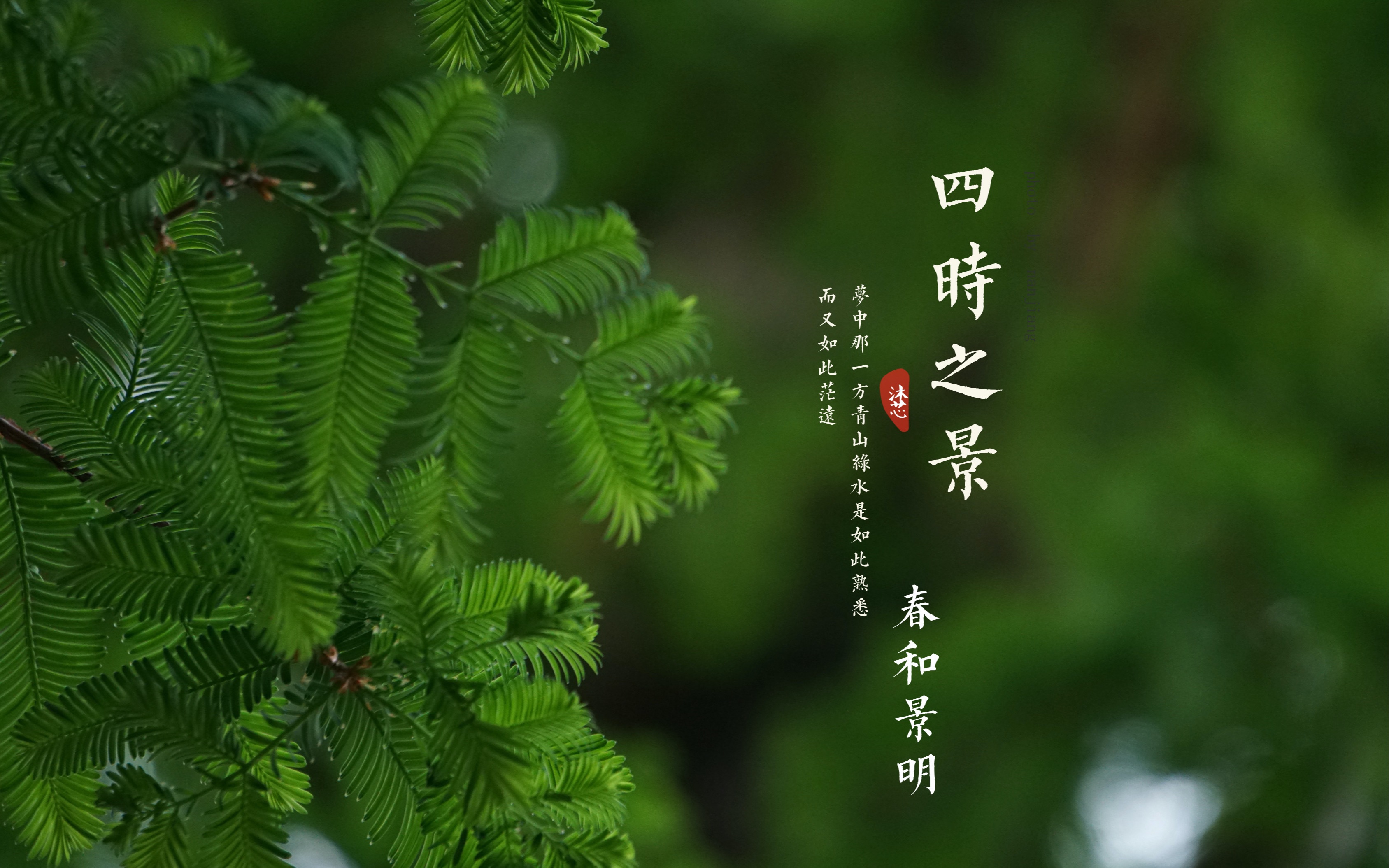 活动作品丽江市一中风景章节四时之景春和景明