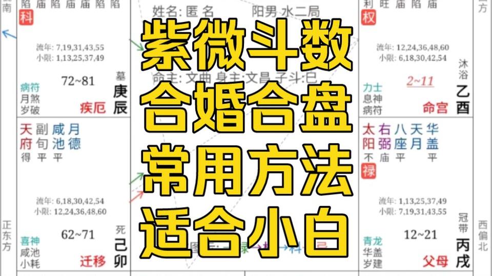 紫微斗数合婚技法(上)_哔哩哔哩_bilibili