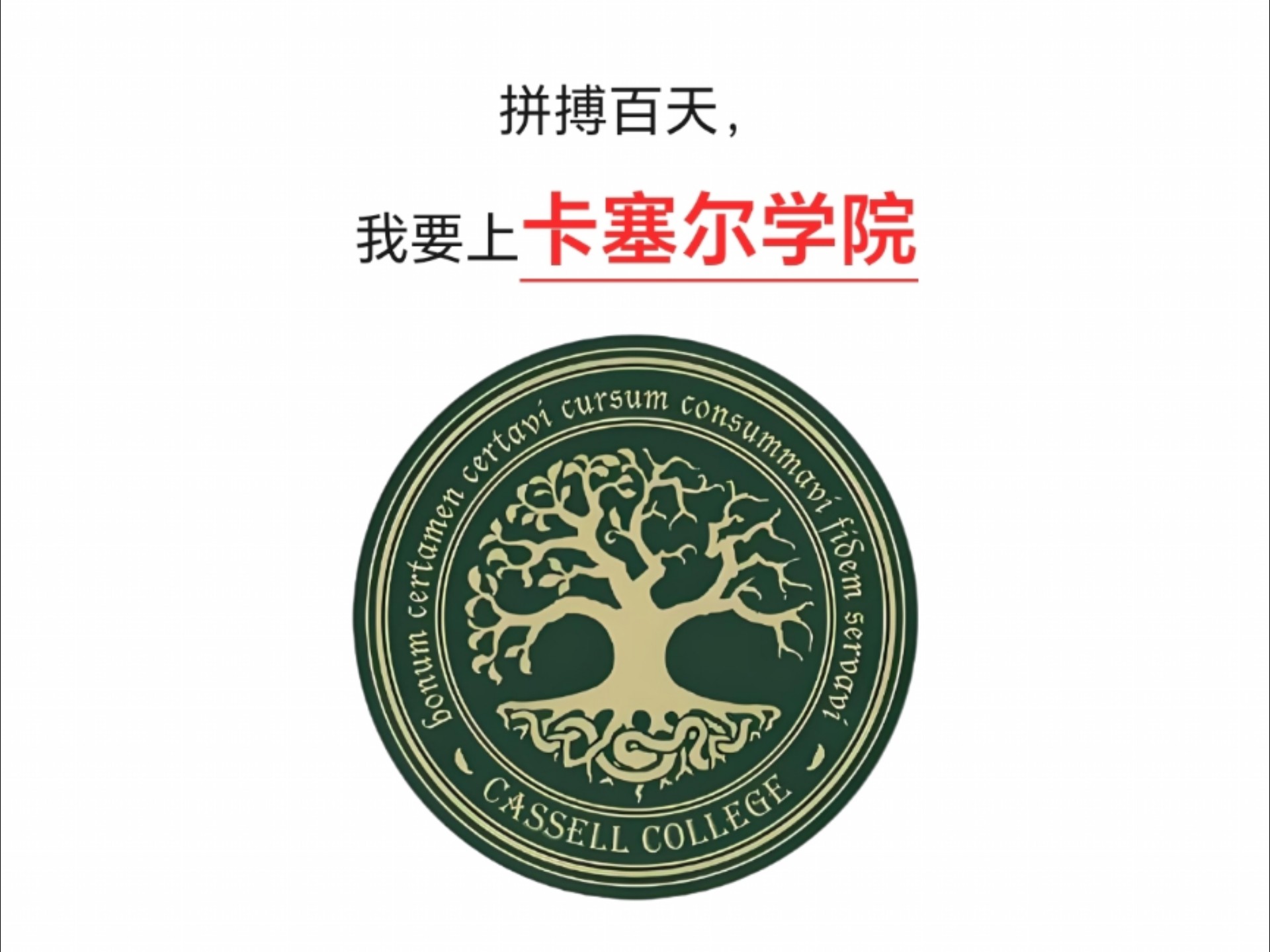 拼搏百天,我要上卡塞尔学院৲