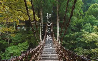 日本秘境 搜索结果 哔哩哔哩 Bilibili